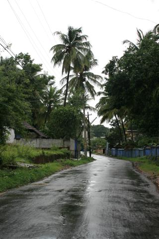 rains