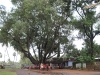 Ayyampathy Mariyamman Temple