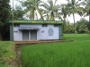 Paruthikkavu Padashekarasamithi