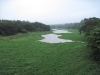 Chittur Puzhampalam