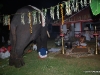 പ്രത്യക്ഷ ഗണപതി ഹോമം - ശ്രീ കുറുമ്പ കാവ് 