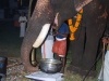 പ്രത്യക്ഷ ഗണപതി ഹോമം - ശ്രീ കുറുമ്പ കാവ് 