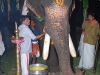 പ്രത്യക്ഷ ഗണപതി ഹോമം - ശ്രീ കുറുമ്പ കാവ് 