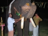 പ്രത്യക്ഷ ഗണപതി ഹോമം - ശ്രീ കുറുമ്പ കാവ് 