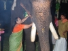 പ്രത്യക്ഷ ഗണപതി ഹോമം - ശ്രീ കുറുമ്പ കാവ് 
