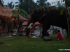 പ്രത്യക്ഷ ഗണപതി ഹോമം - ശ്രീ കുറുമ്പ കാവ് 