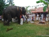 പ്രത്യക്ഷ ഗണപതി ഹോമം - ശ്രീ കുറുമ്പ കാവ് 