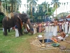 പ്രത്യക്ഷ ഗണപതി ഹോമം - ശ്രീ കുറുമ്പ കാവ് 