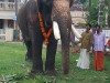 പ്രത്യക്ഷ ഗണപതി ഹോമം - ശ്രീ കുറുമ്പ കാവ് 