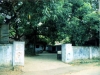 ayur