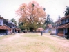 eastern_village1_jpg
