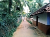kadavalav