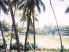 perumkulam_jpg