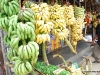 dsc_0009-1.jpg