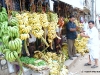 dsc_0011-1.jpg