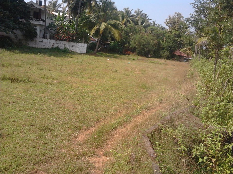 real estate tattamangalam