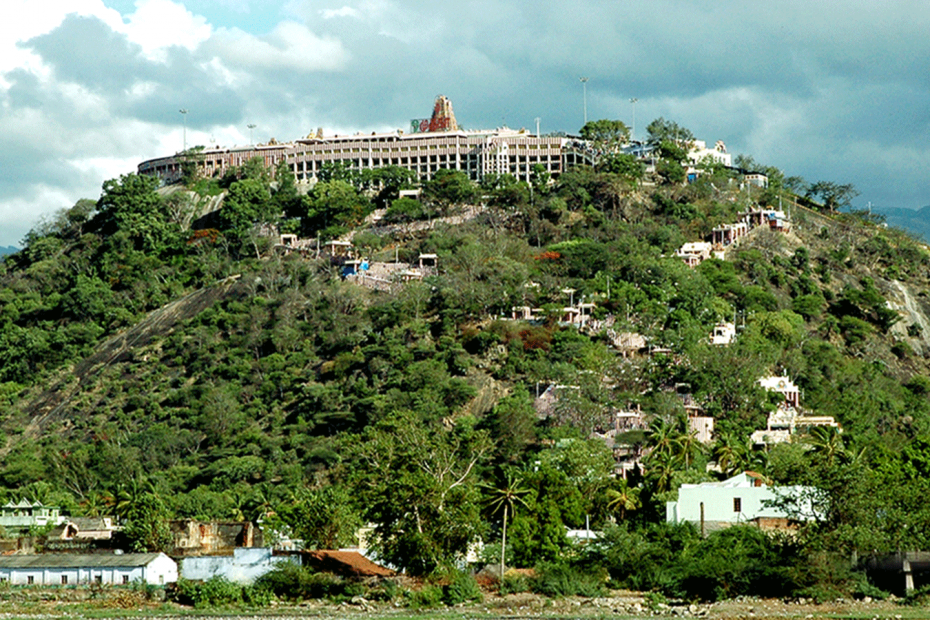 palani temple visit by walk