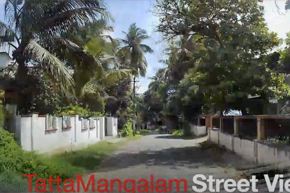 street view tattamangalam