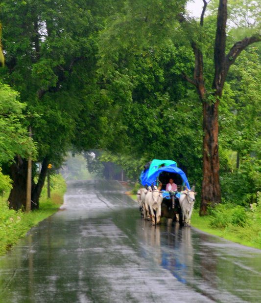 kerala monsoon rains