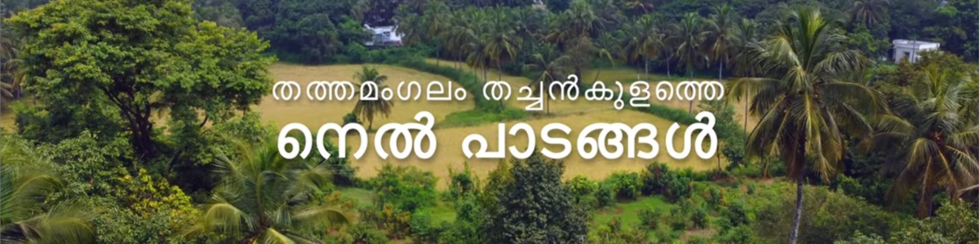 തത്തമംഗലം ഡോട്ട് കോം. TattaMangalam.com 