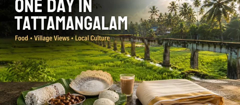 One Day in Tattamangalam: Kerala Food, Village Views and Local Shopping