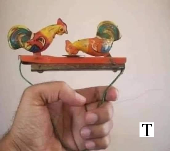 Two Cocks In One Toy