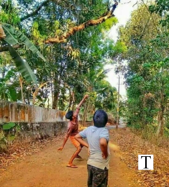 മാങ്ങയേറ്  