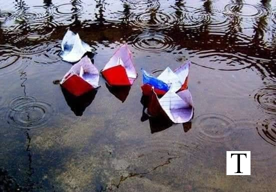 Paper Boats