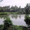2009-images-tattamangalam_0100