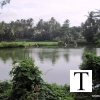 Photos of Tattamangalam Village from 2009 July