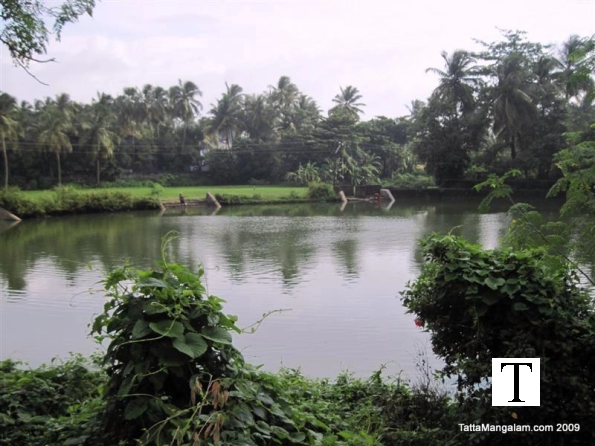 2009-images-tattamangalam_0100