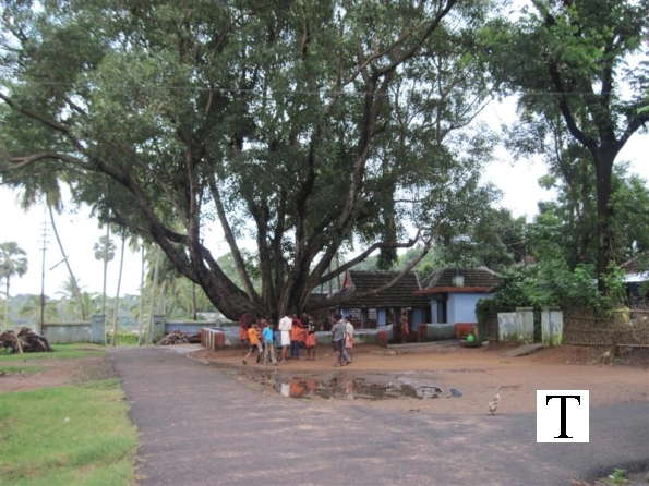 2009-images-tattamangalam_0192