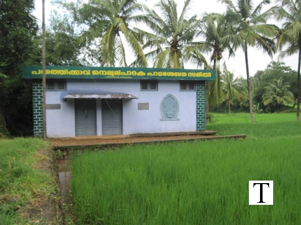 2009-images-tattamangalam_0195