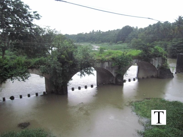 2009-images-tattamangalam_0217