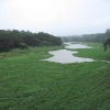 2009-images-tattamangalam_0218