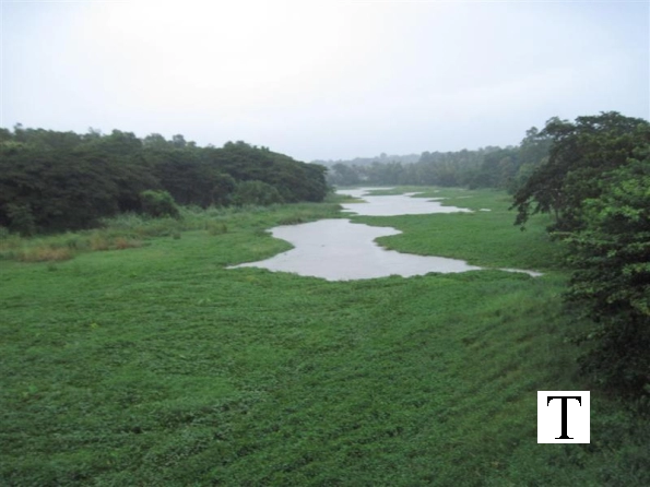 2009-images-tattamangalam_0218