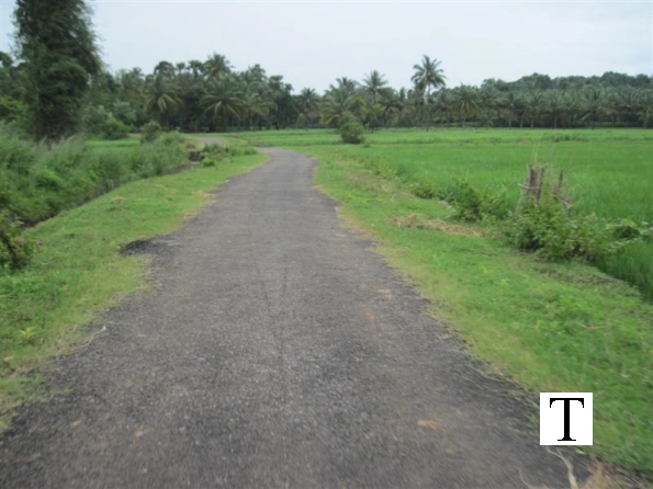 2009-images-tattamangalam_0235