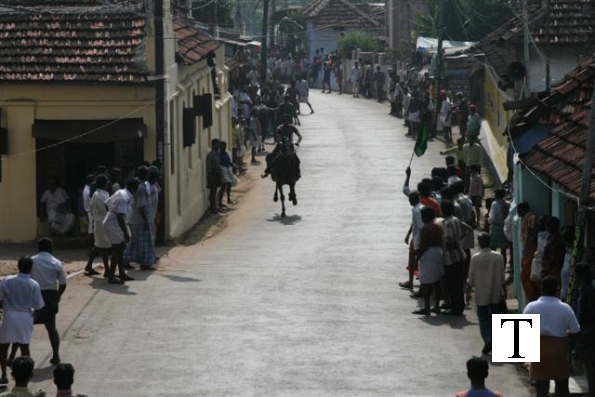 2007-kuthiravela-angadivela_1063-small-