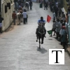 2007-kuthiravela-angadivela_1072-small-