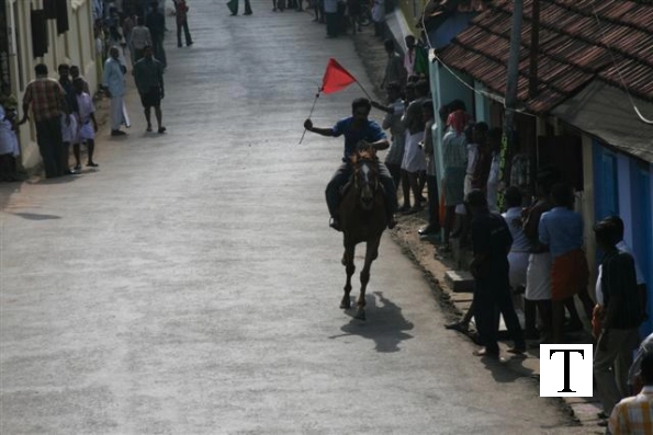 2007-kuthiravela-angadivela_1074-small-
