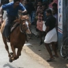 2007-kuthiravela-angadivela_1075-small-