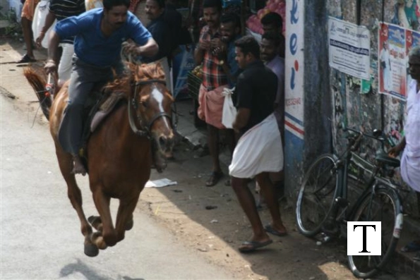 2007-kuthiravela-angadivela_1075-small-