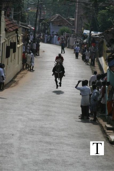2007-kuthiravela-angadivela_1083-small-
