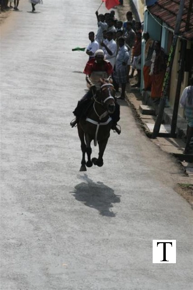 2007-kuthiravela-angadivela_1084-small-