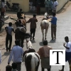 2007-kuthiravela-angadivela_1085-small-