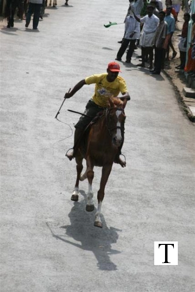 2007-kuthiravela-angadivela_1091-small-