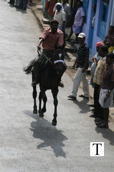 2007-kuthiravela-angadivela_1092-small-