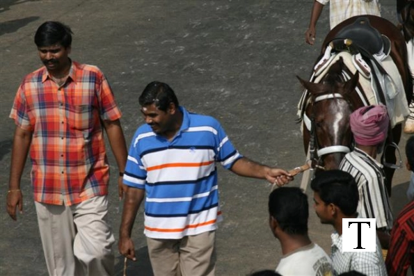 2007-kuthiravela-angadivela_1095-small-