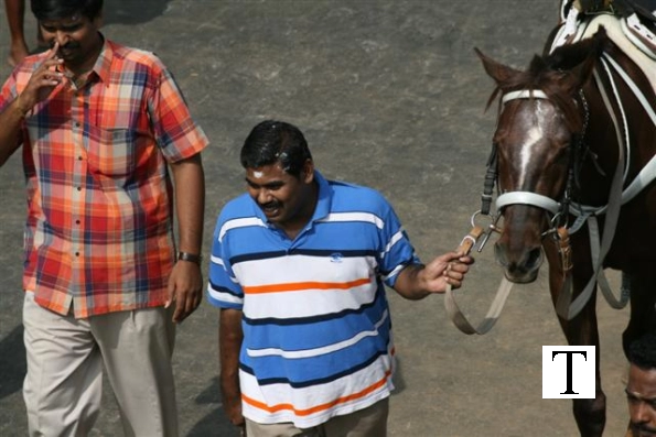 2007-kuthiravela-angadivela_1096-small-