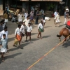 2007-kuthiravela-angadivela_1098-small-